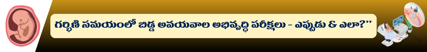 citynews_Banner-strip